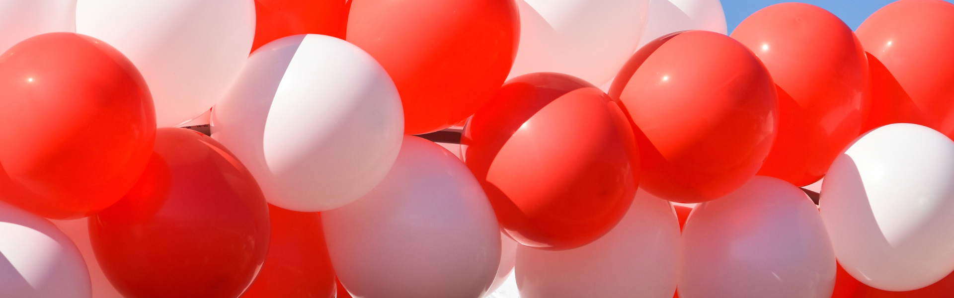 Event Decorators Listing Category Flower Square Balloon Decorations Balloon Decorations